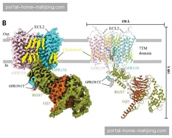 按时段按需付费的观看颗粒度在本季成熟 这种机制灵活释放了潜在消费潜力